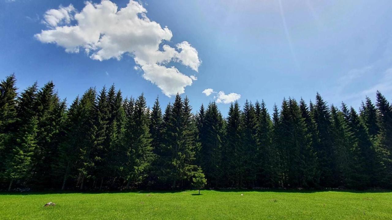Rajska suma Villa Žabljak Exteriör bild