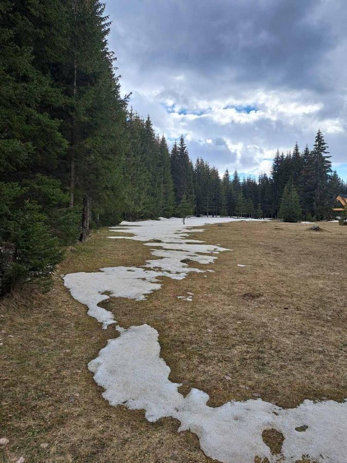 Rajska suma Villa Žabljak Exteriör bild